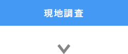 現地調査